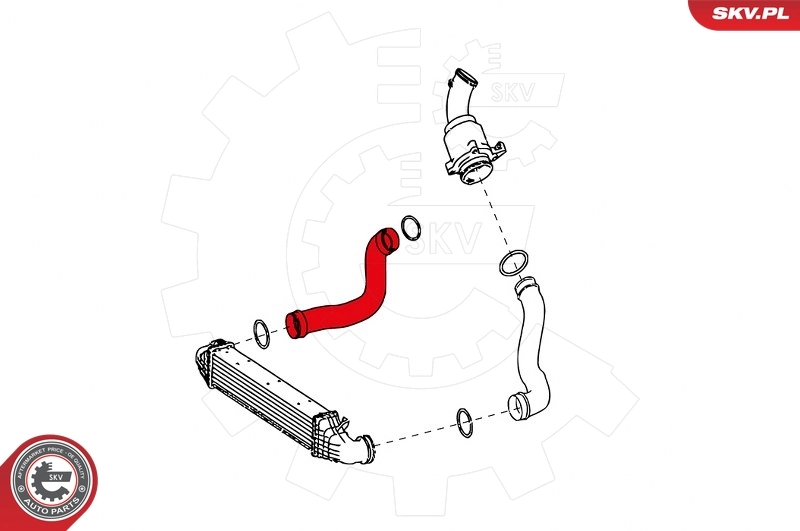 Charge Air Hose 24SKV630