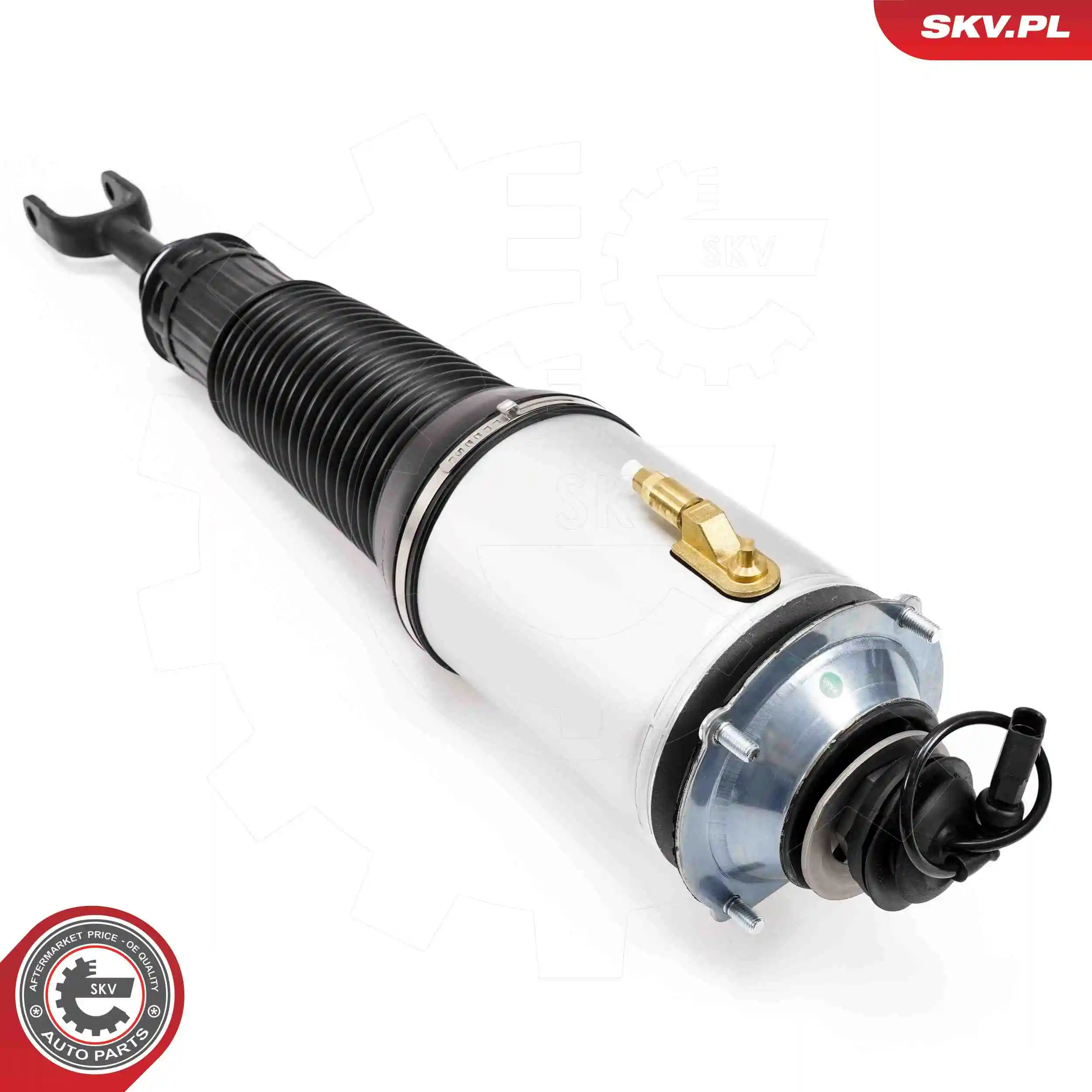 Air Suspension Strut 58SKV701