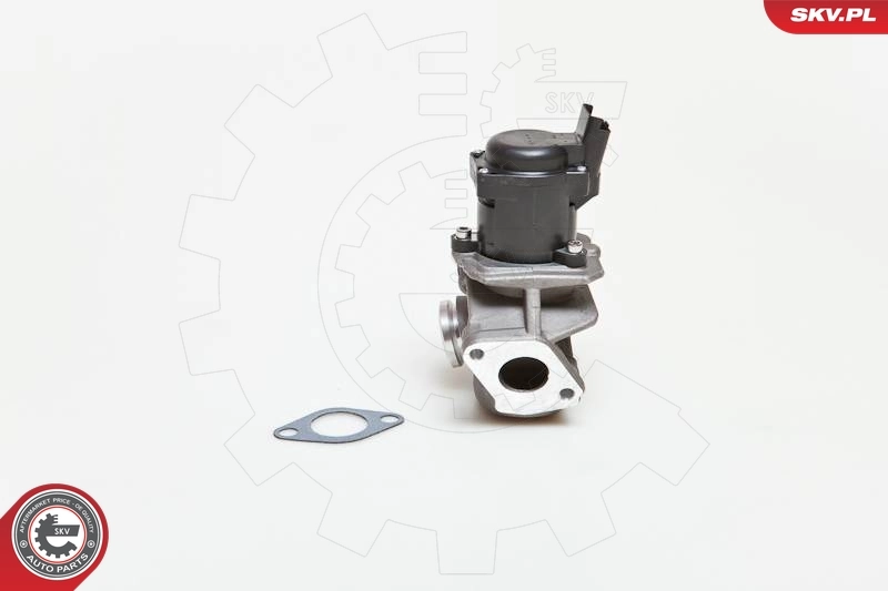EGR Valve 14SKV028