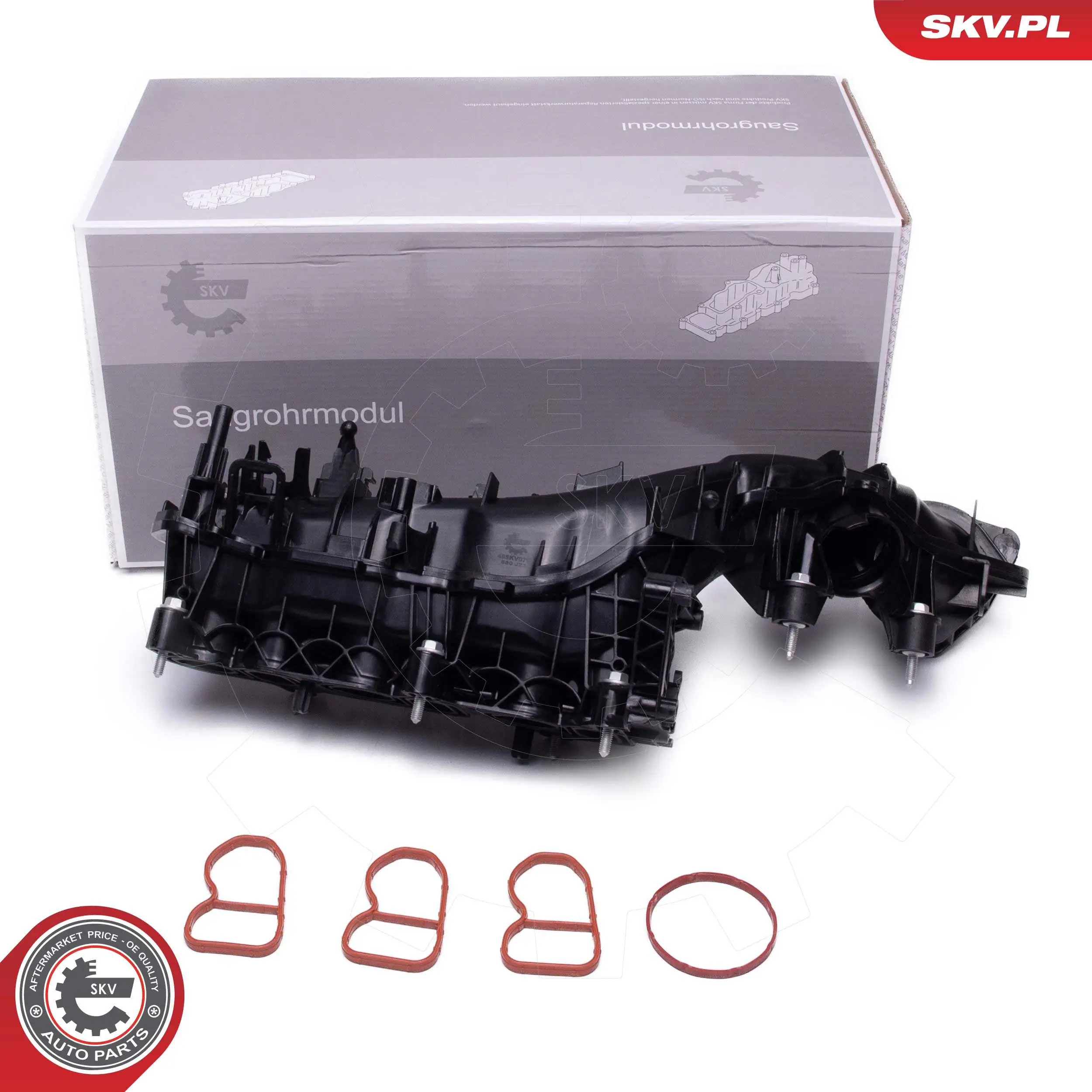 Intake Manifold Module 49SKV079