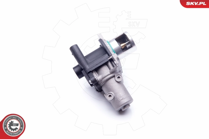 EGR Valve 14SKV163