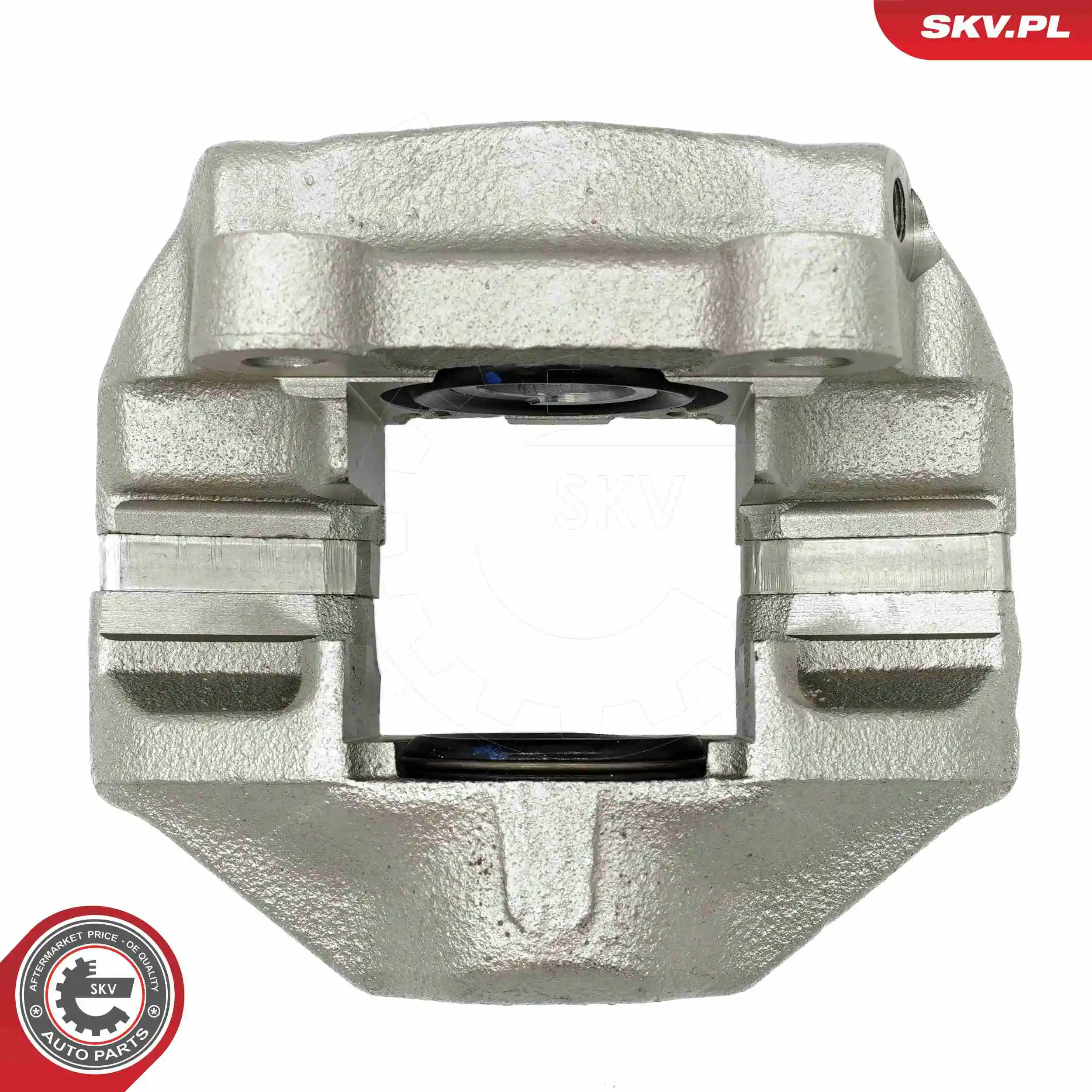 ESEN SKV 67SKV223 Brake Caliper