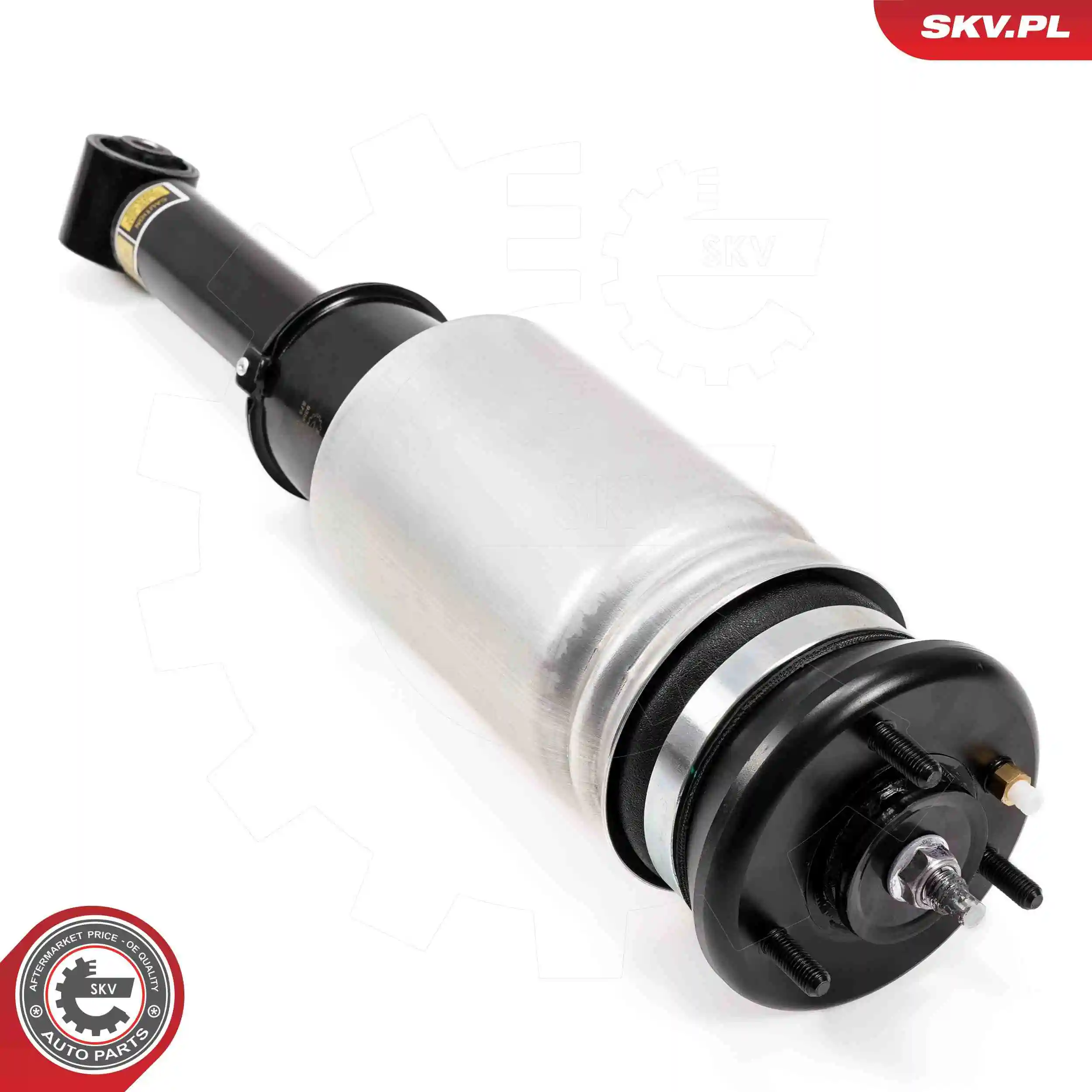 Air Suspension Strut 58SKV711