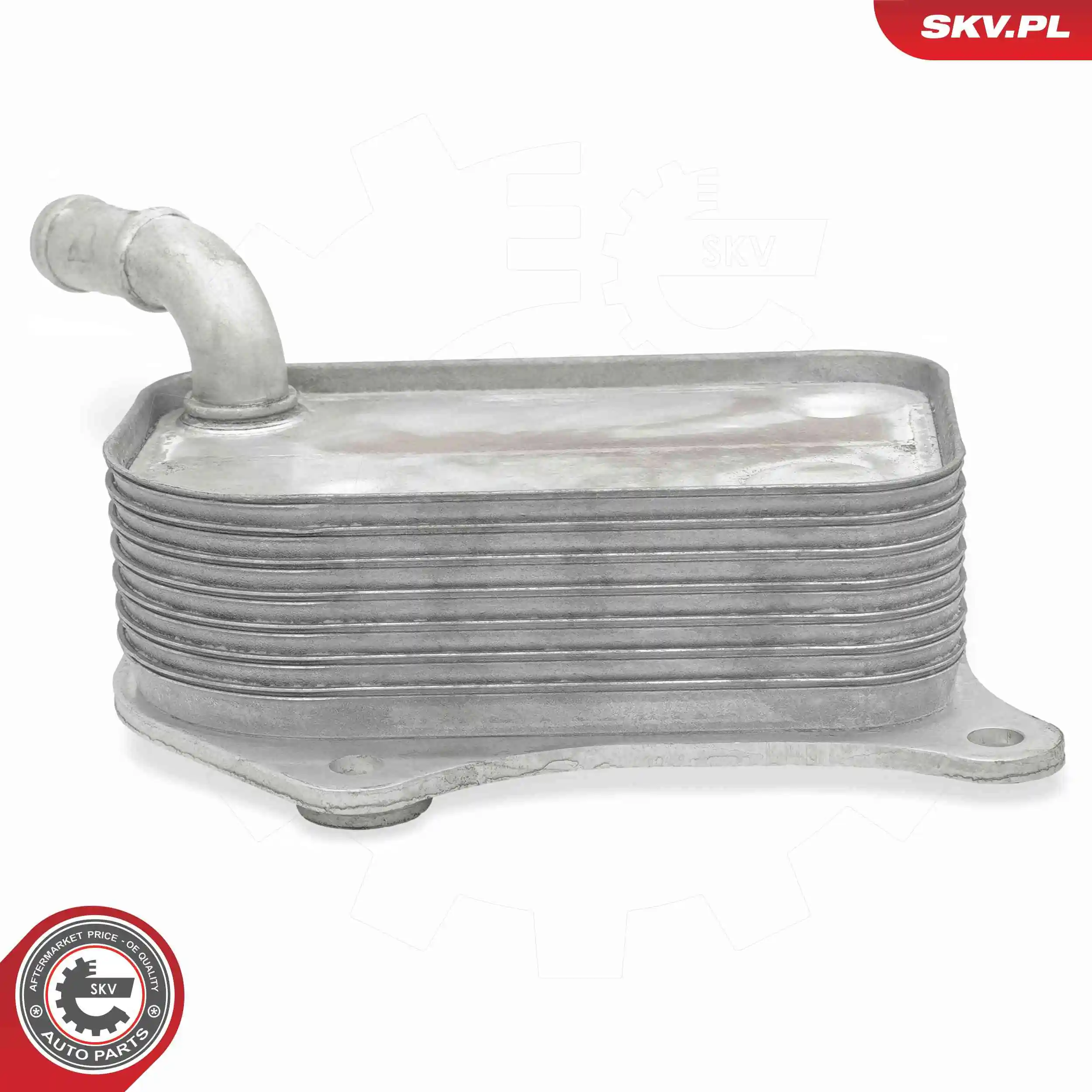 Oil Cooler, engine oil 31SKV294