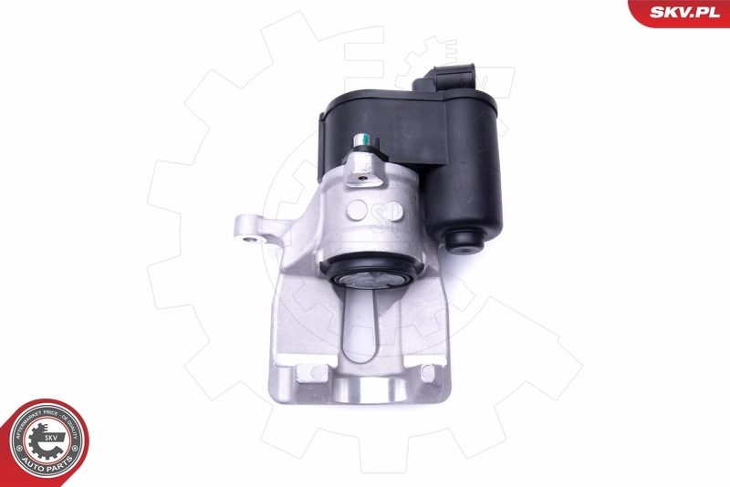 Brake Caliper 44SKV037