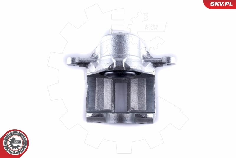 ESEN SKV 50SKV781 Brake Caliper