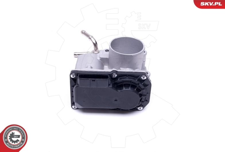 Throttle Body 12SKV097