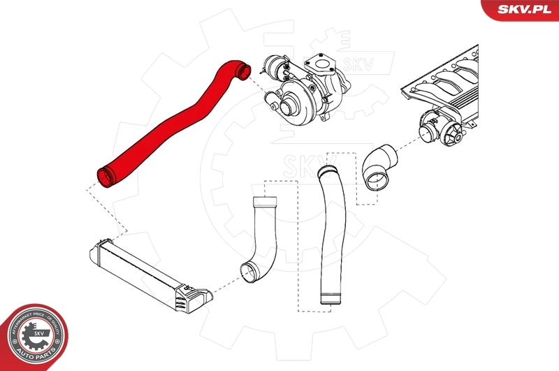 Charge Air Hose 24SKV145