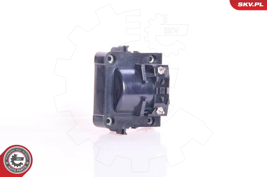 Ignition Coil 03SKV091