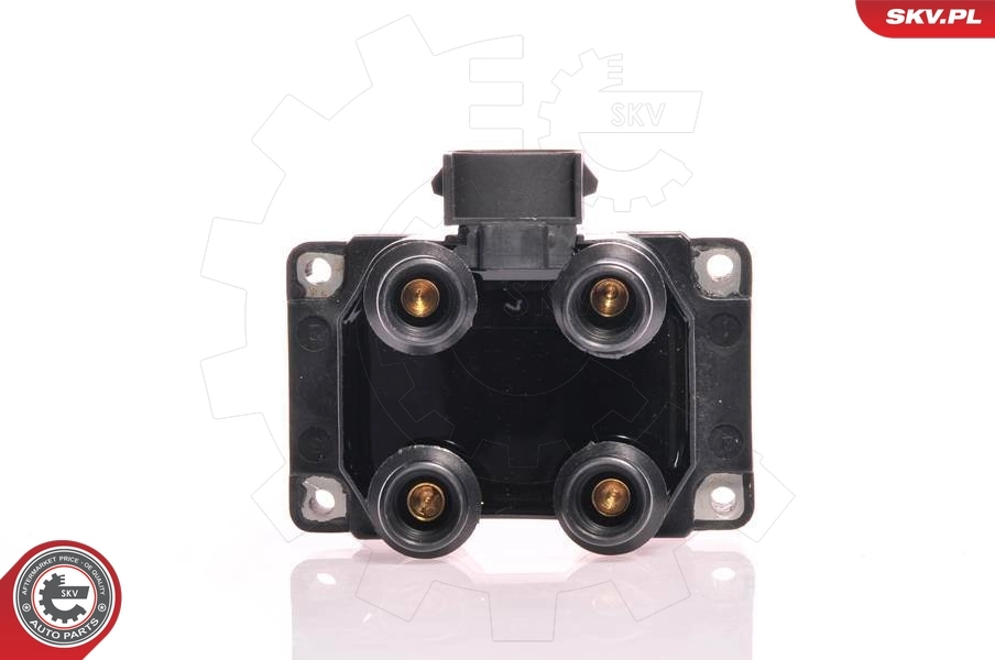 Ignition Coil 03SKV012