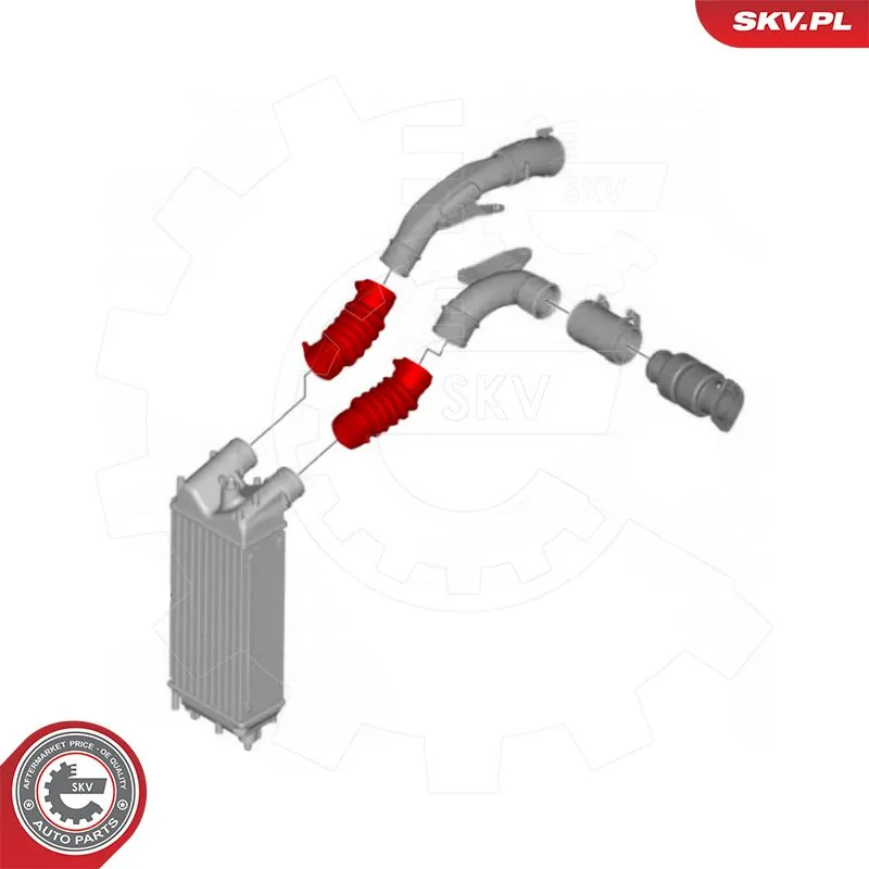 Charge Air Hose 54SKV004