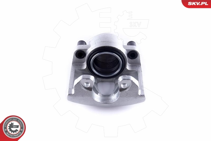 Brake Caliper 50SKV992