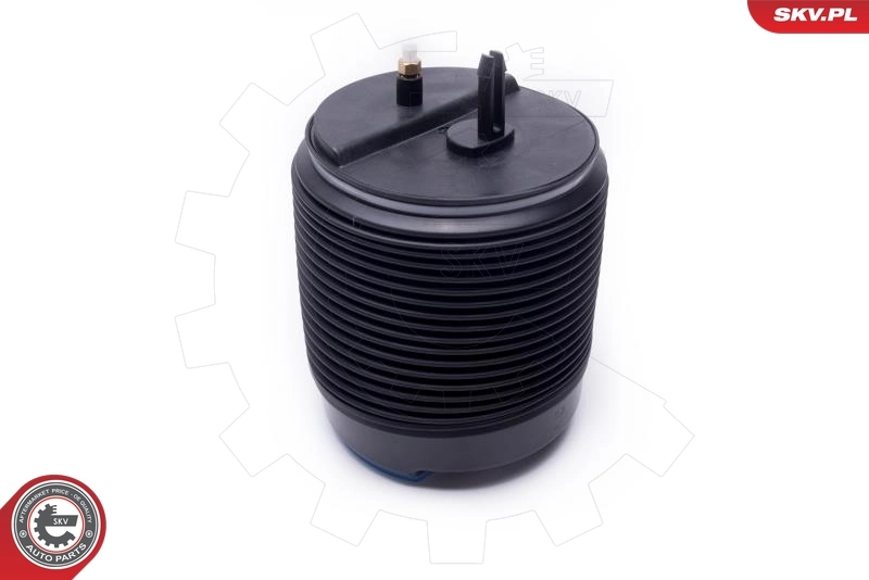 ESEN SKV 58SKV073 Air Spring, suspension
