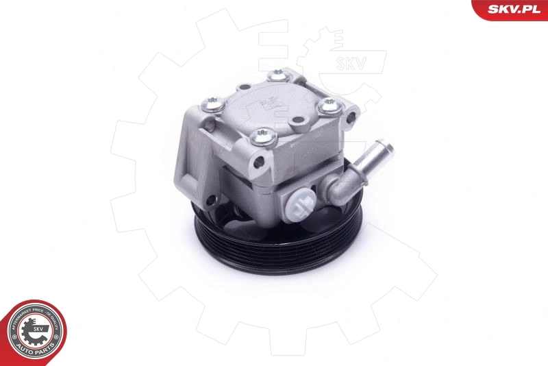 Hydraulic Pump, steering 10SKV304