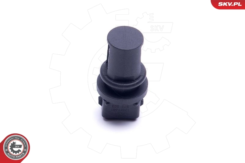 Sensor, intake air temperature 17SKV687