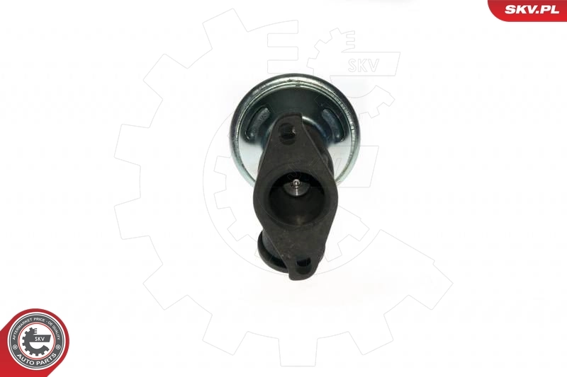 EGR Valve 14SKV077