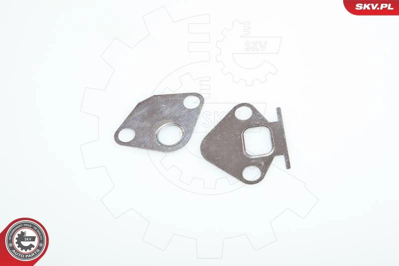 EGR Valve 14SKV029