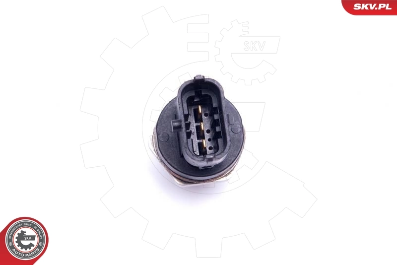 Sensor, fuel pressure 17SKV619