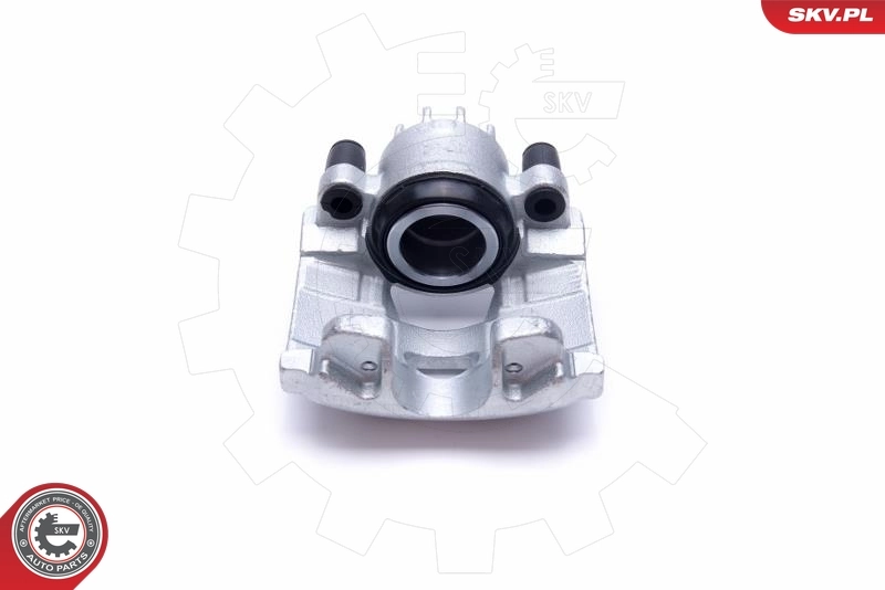 Brake Caliper 55SKV811
