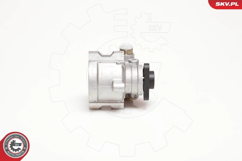 Hydraulic Pump, steering 10SKV053