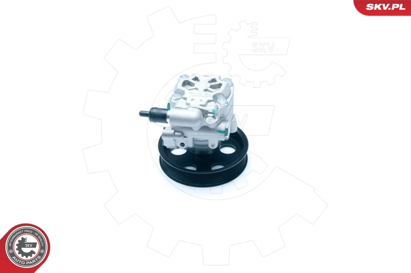 Hydraulic Pump, steering 10SKV183