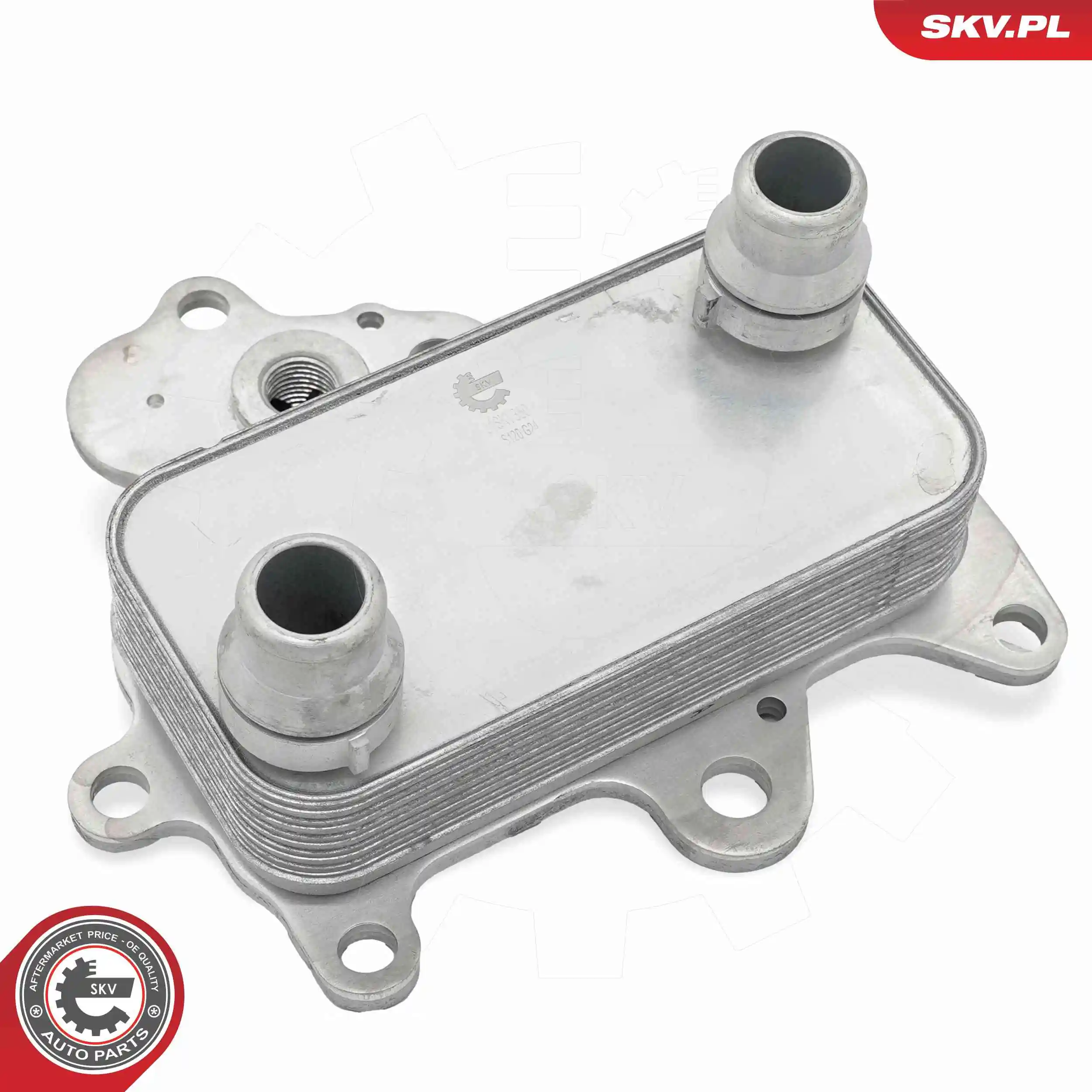 Oil Cooler, engine oil 31SKV350