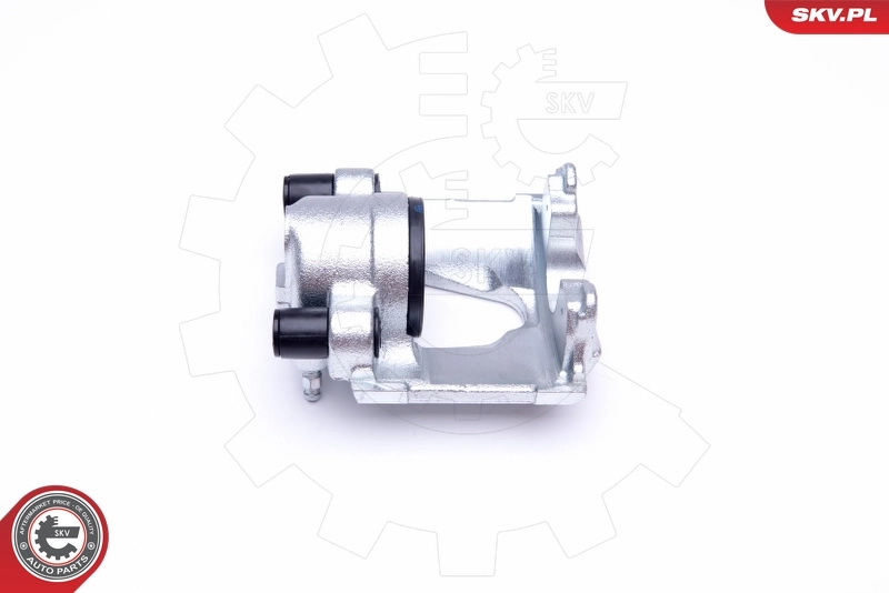 Brake Caliper 42SKV681