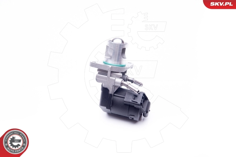 EGR Valve 14SKV169