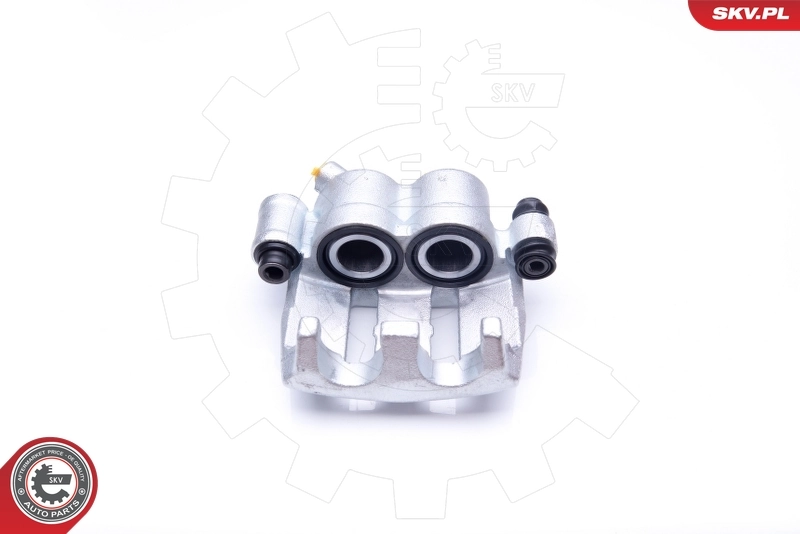 Brake Caliper 42SKV071