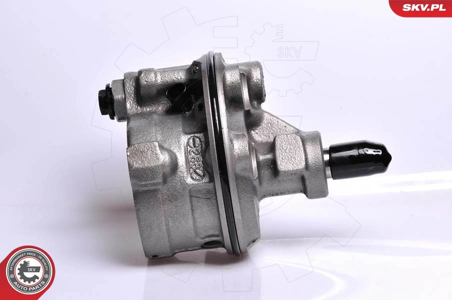 Hydraulic Pump, steering 10SKV128