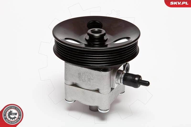 Hydraulic Pump, steering 10SKV033