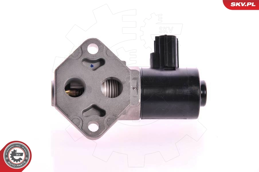 ESEN SKV 08SKV228 Idle Control Valve, air supply
