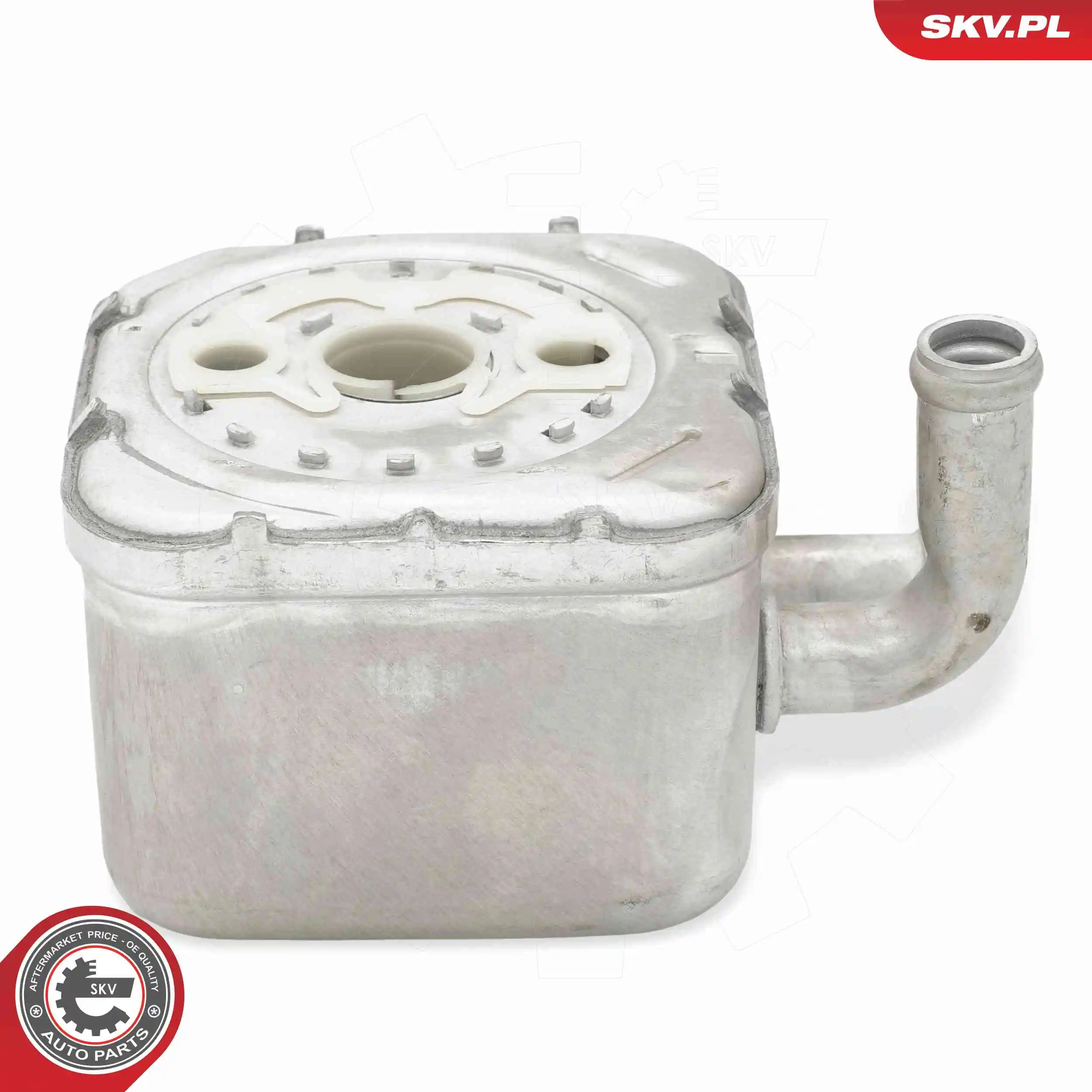 Oil Cooler, engine oil 31SKV292