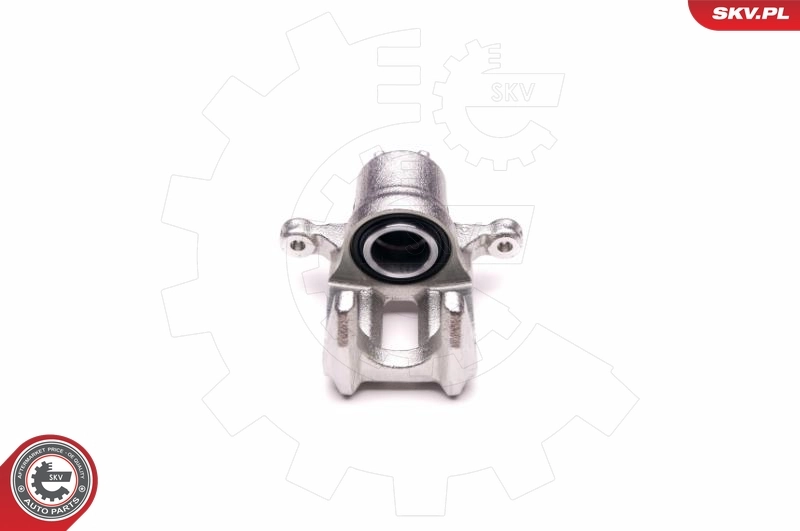 Brake Caliper 23SKV803