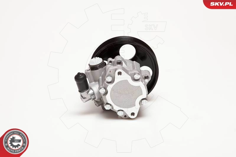 Hydraulic Pump, steering 10SKV100