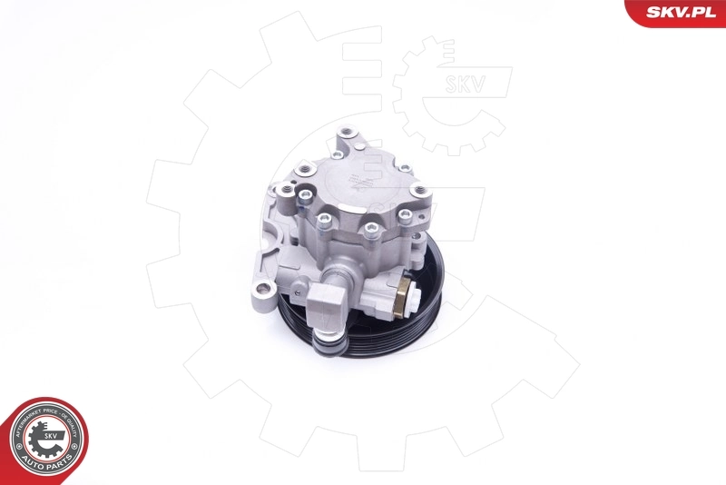 Hydraulic Pump, steering 10SKV192