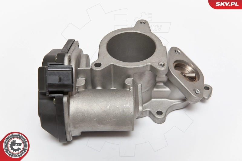 EGR Valve 14SKV083