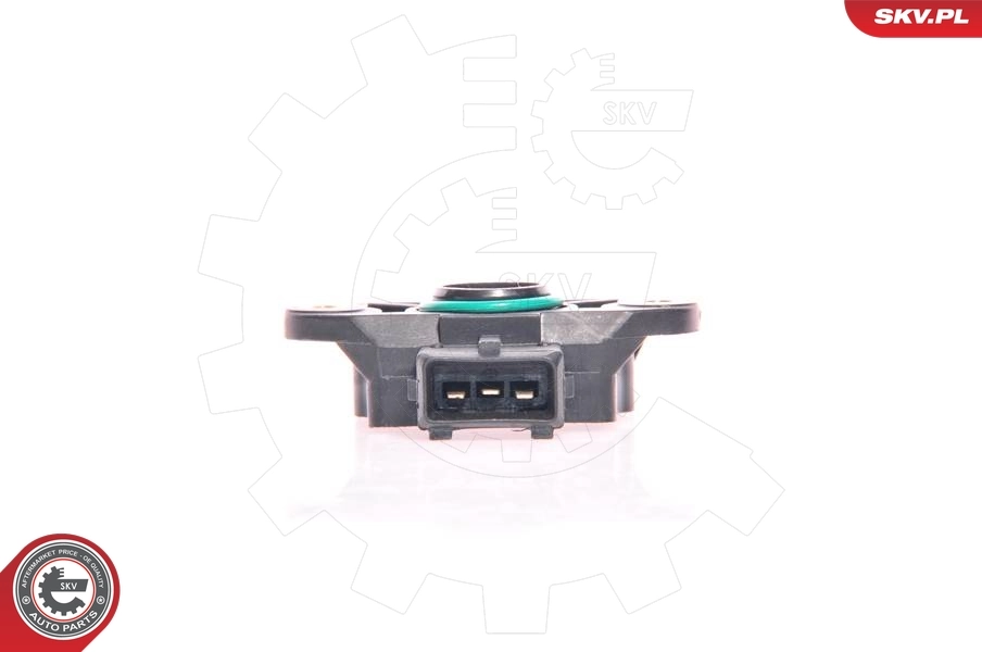 Sensor, throttle position 17SKV012