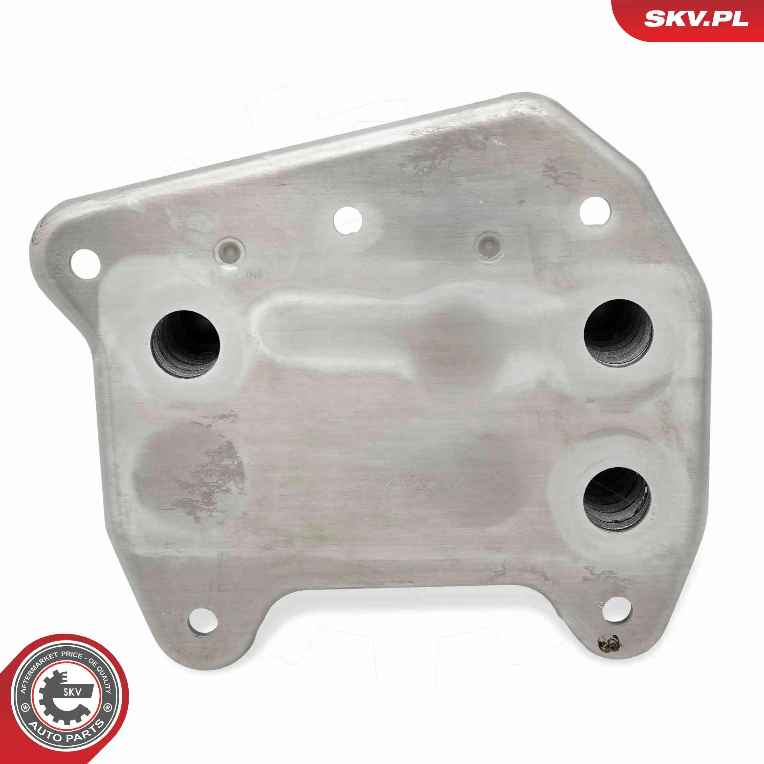 Oil Cooler, engine oil 31SKV326