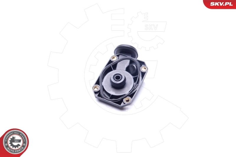 Valve, crankcase ventilation 31SKV074