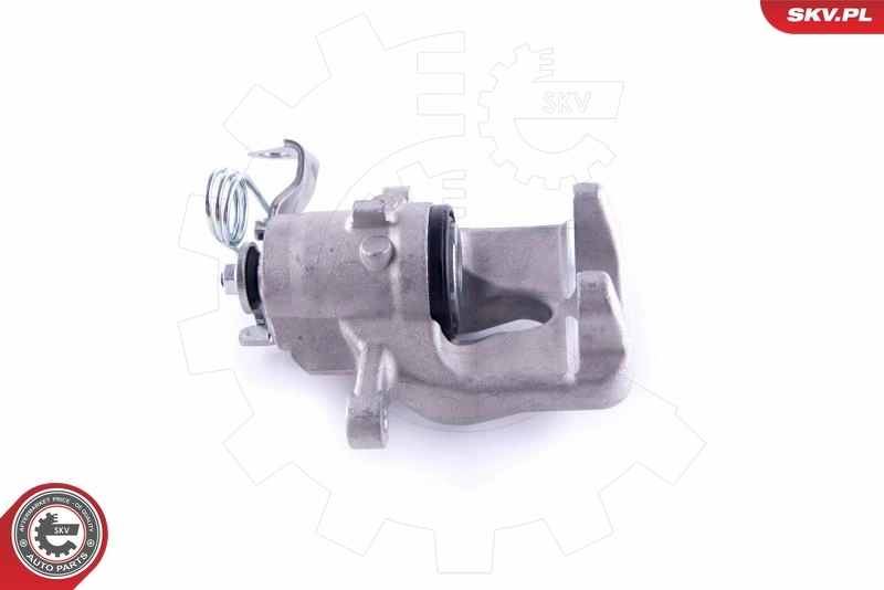 Brake Caliper 55SKV193