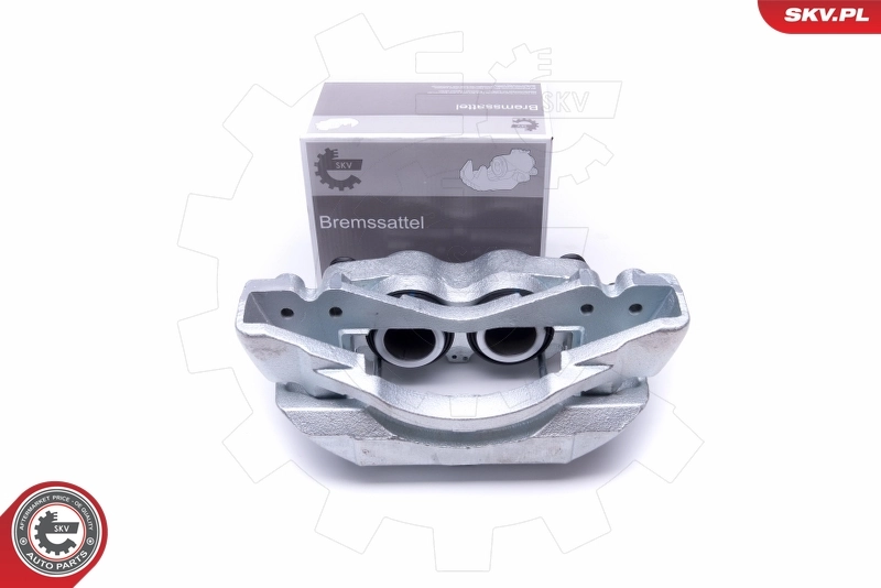 Brake Caliper 50SKV262