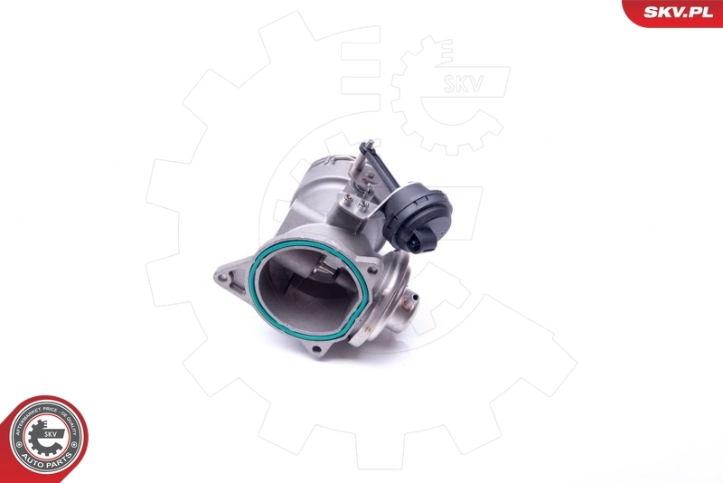 EGR Valve 14SKV093