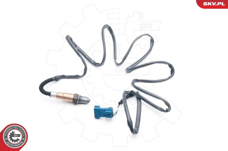 Oxygen Sensor 09SKV699