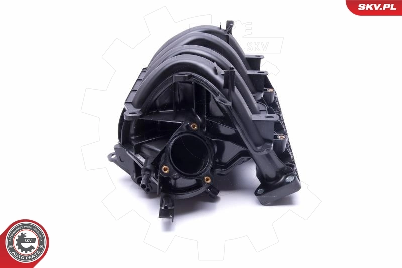 Intake Manifold Module 49SKV042