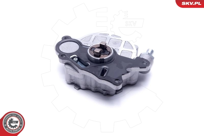 Bomba de vacío, sistema de frenado 18SKV032