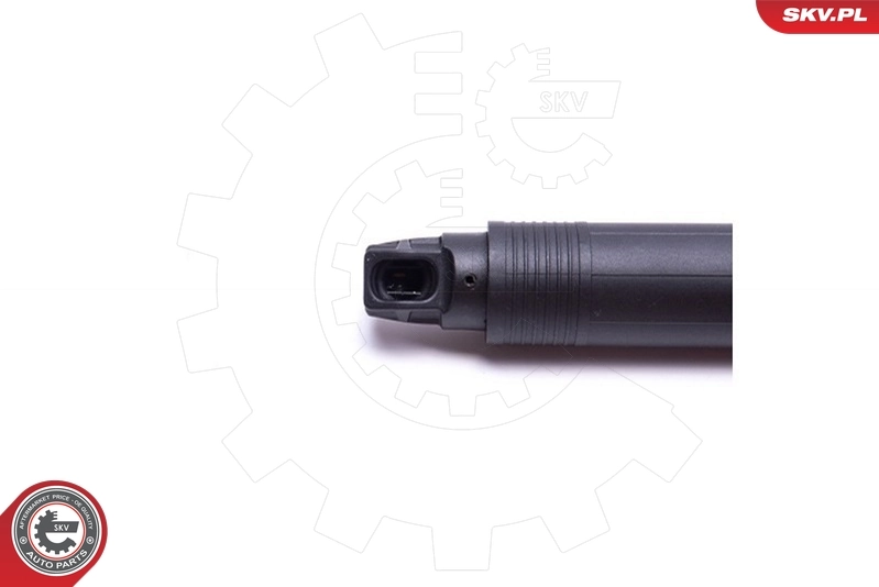 ESEN SKV 52SKV925 Electric Motor, tailgate