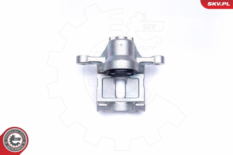 Brake Caliper 45SKV194