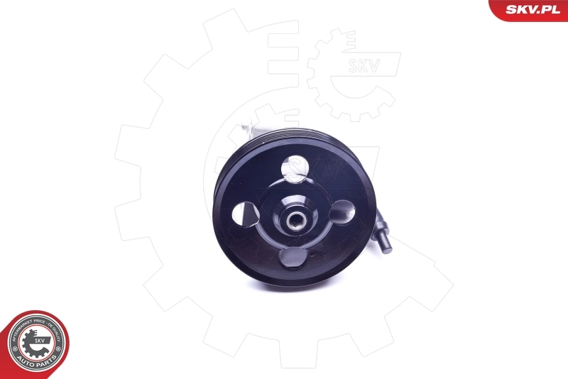 Hydraulic Pump, steering 10SKV038