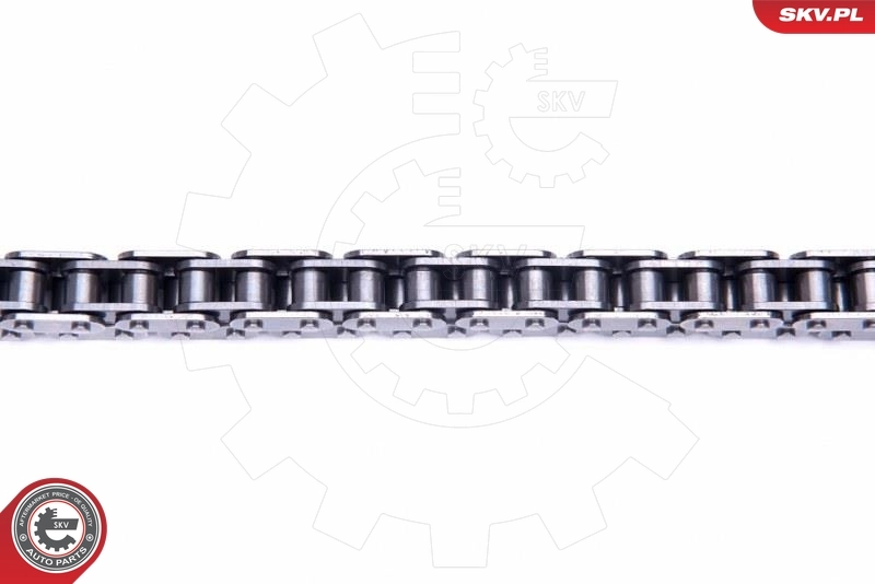 Timing Chain Kit 21SKV135